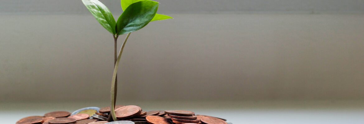 investice