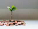 investice