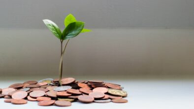 investice